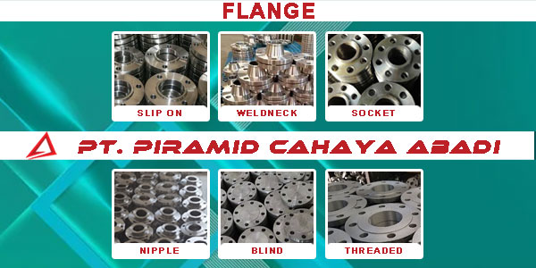 FLANGE