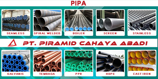 PIPA